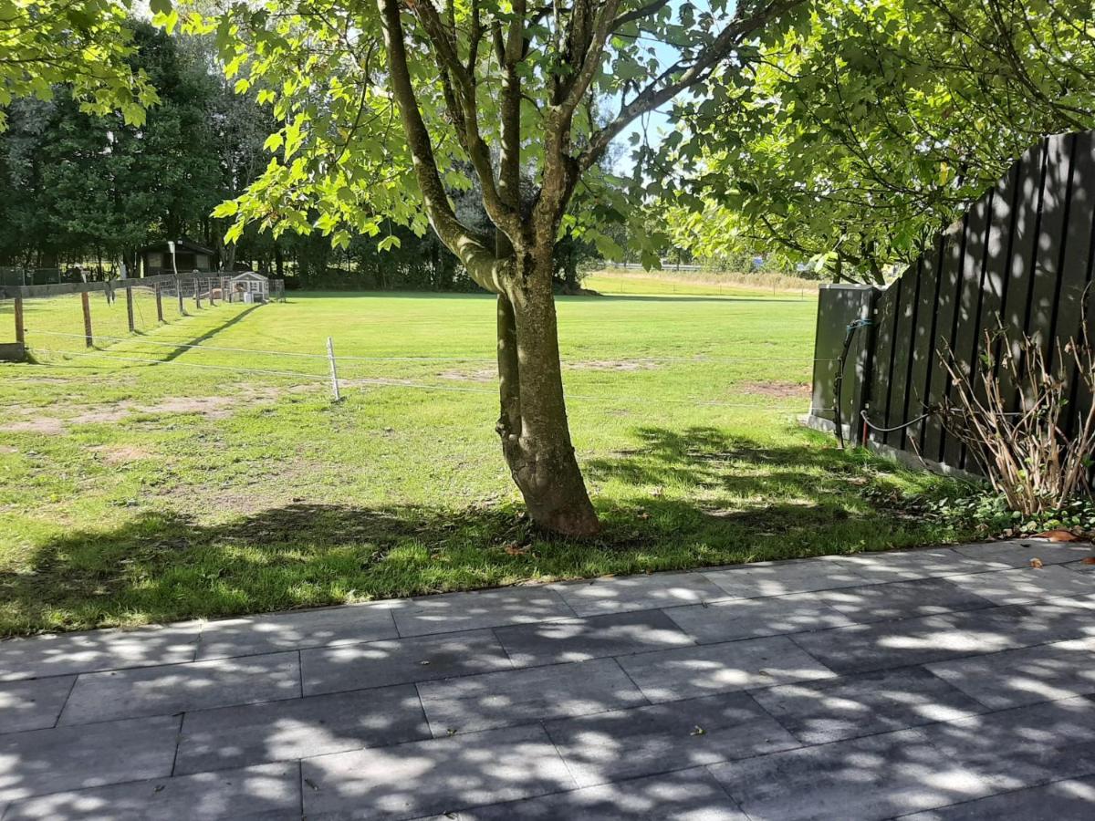 Grutsk op 12 - Bed and Breakfast Drachten