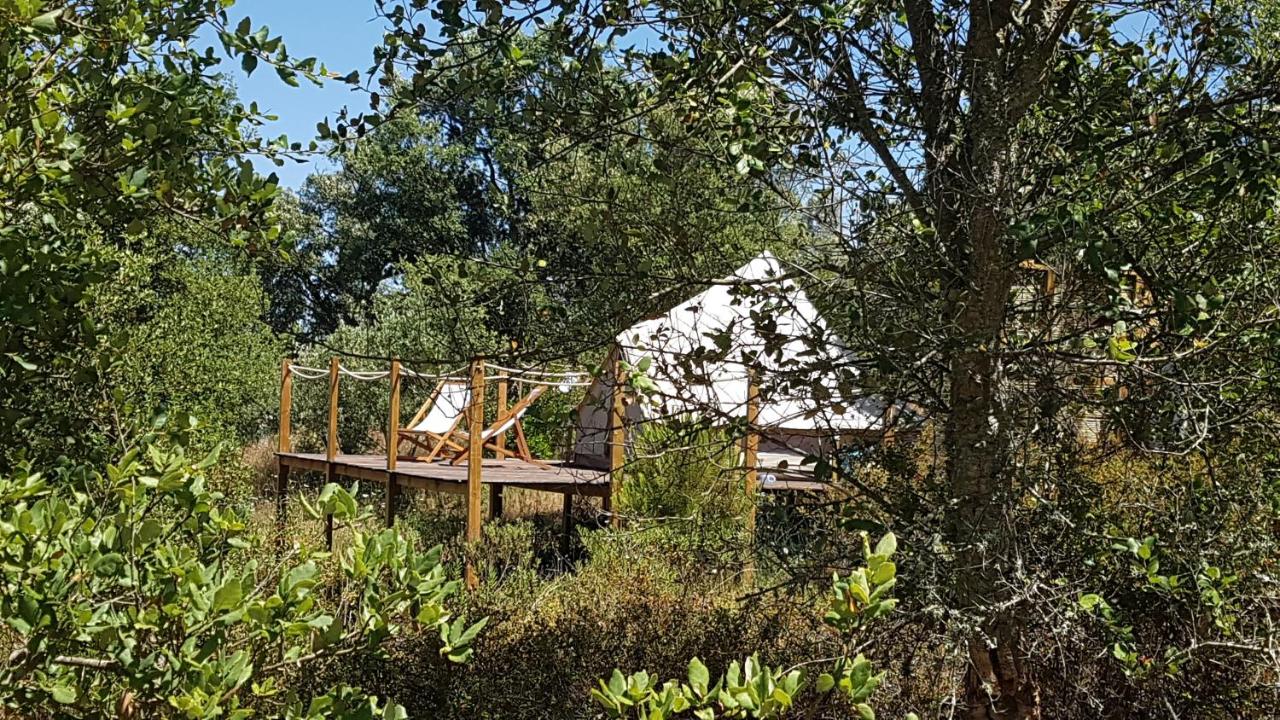 Sublim' Ecolodge - B&B