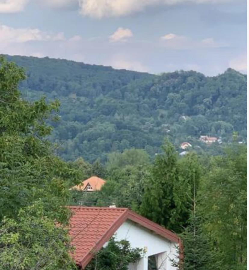 studio in vila- natural 22 C ! - B&B