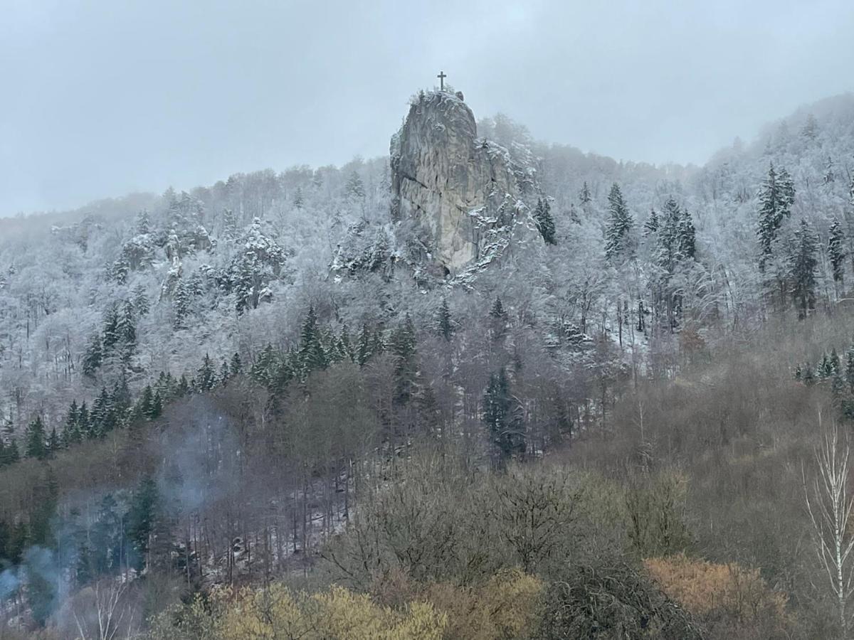 Apartamento de 1 dormitorio