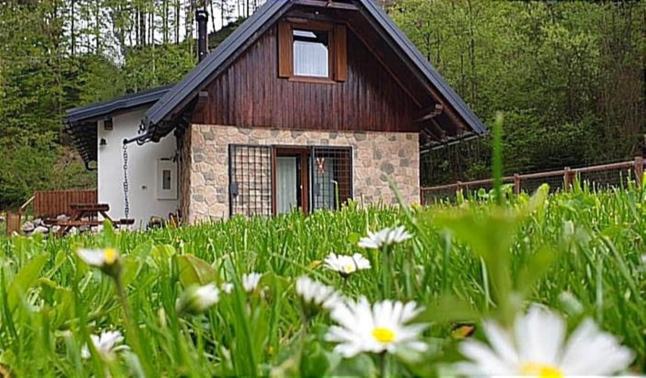 B&B Tarvisio - la LUNA delle MONTAGNE Charme & SPA Chalet - Bed and Breakfast Tarvisio