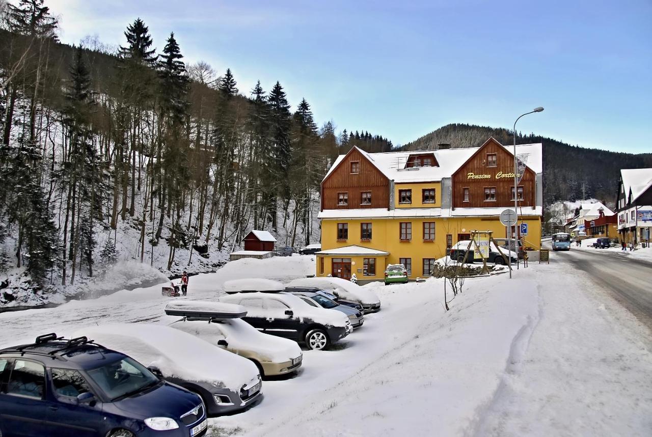 Pension Cortina - Ferienwohnung