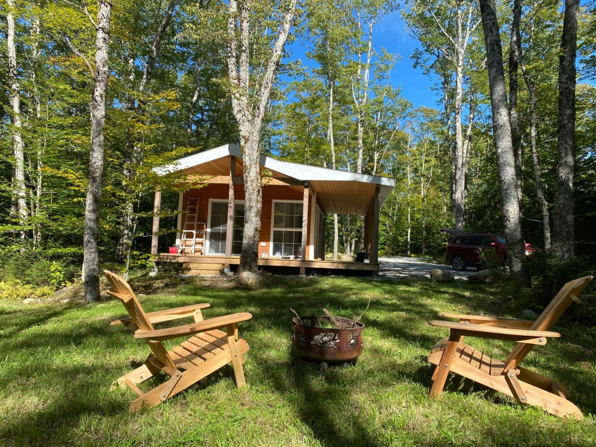 B&B East Kemptville - Bear Cabin - Cozy Forest Retreat nearby Lake - Bed and Breakfast East Kemptville