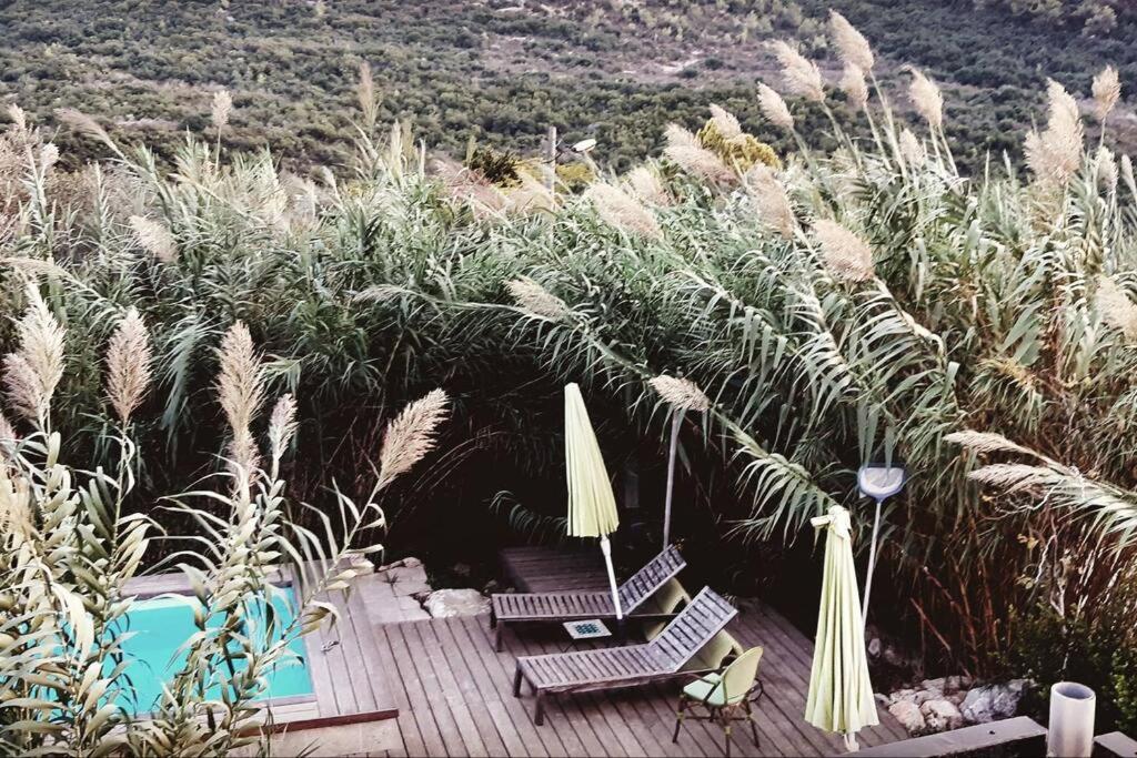 B&B ‘En Hod - עין הוד בית בטבע עם בריכה שקט נוף מדהים להר ואדי והים - Bed and Breakfast ‘En Hod