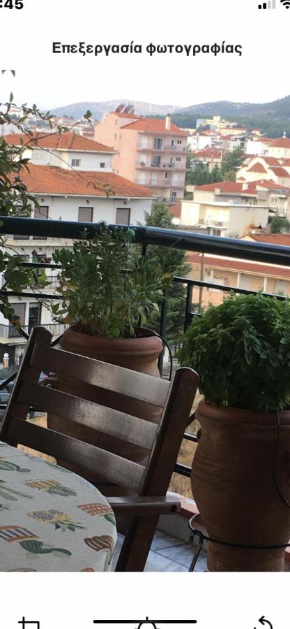 Πηνελόπη Apartment 3-bed flat - Ferienwohnung