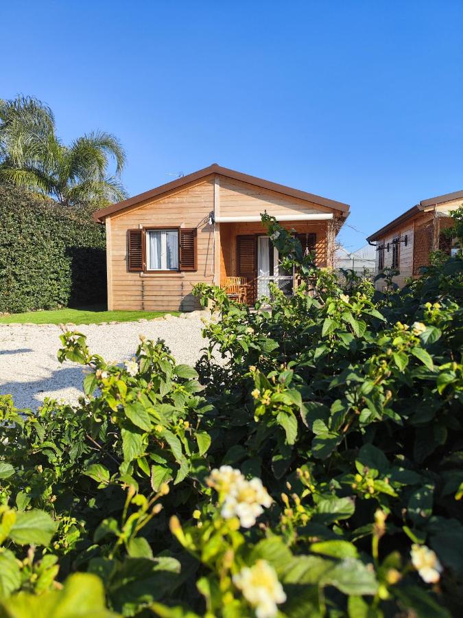 Casa Vacanze La Fenice - Casa Atlantica - Chambres d’hôtes Cava d'Aliga