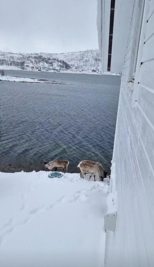 Kaldfjord Sea House - Chambres d’hôtes