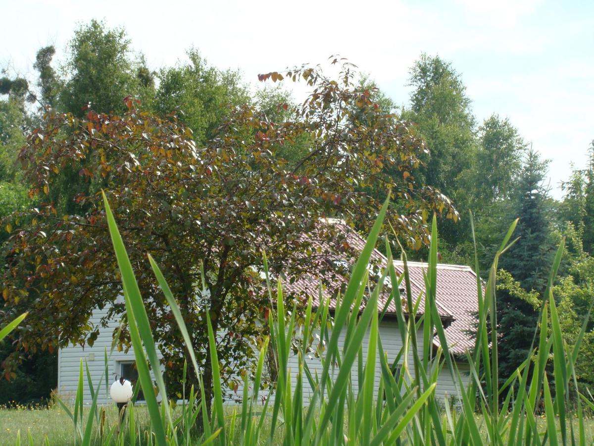 Bobrowa Dolina - Ferienwohnung Ryn