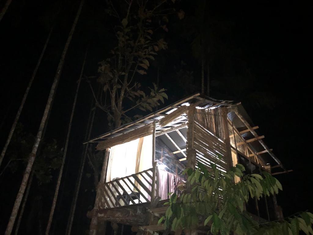 B&B Ganapathivattam - Lotus Jewel Forest Camping - Bed and Breakfast Ganapathivattam