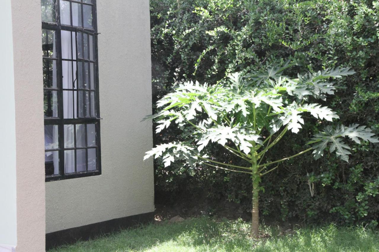 B&B Arusha - Kijivu Suites 3, Mateves - Bed and Breakfast Arusha