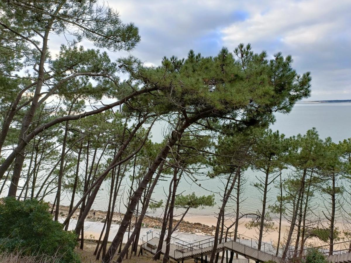 CHEZ CED - Gujan-Mestras / Bassin d'Arcachon - B&B
