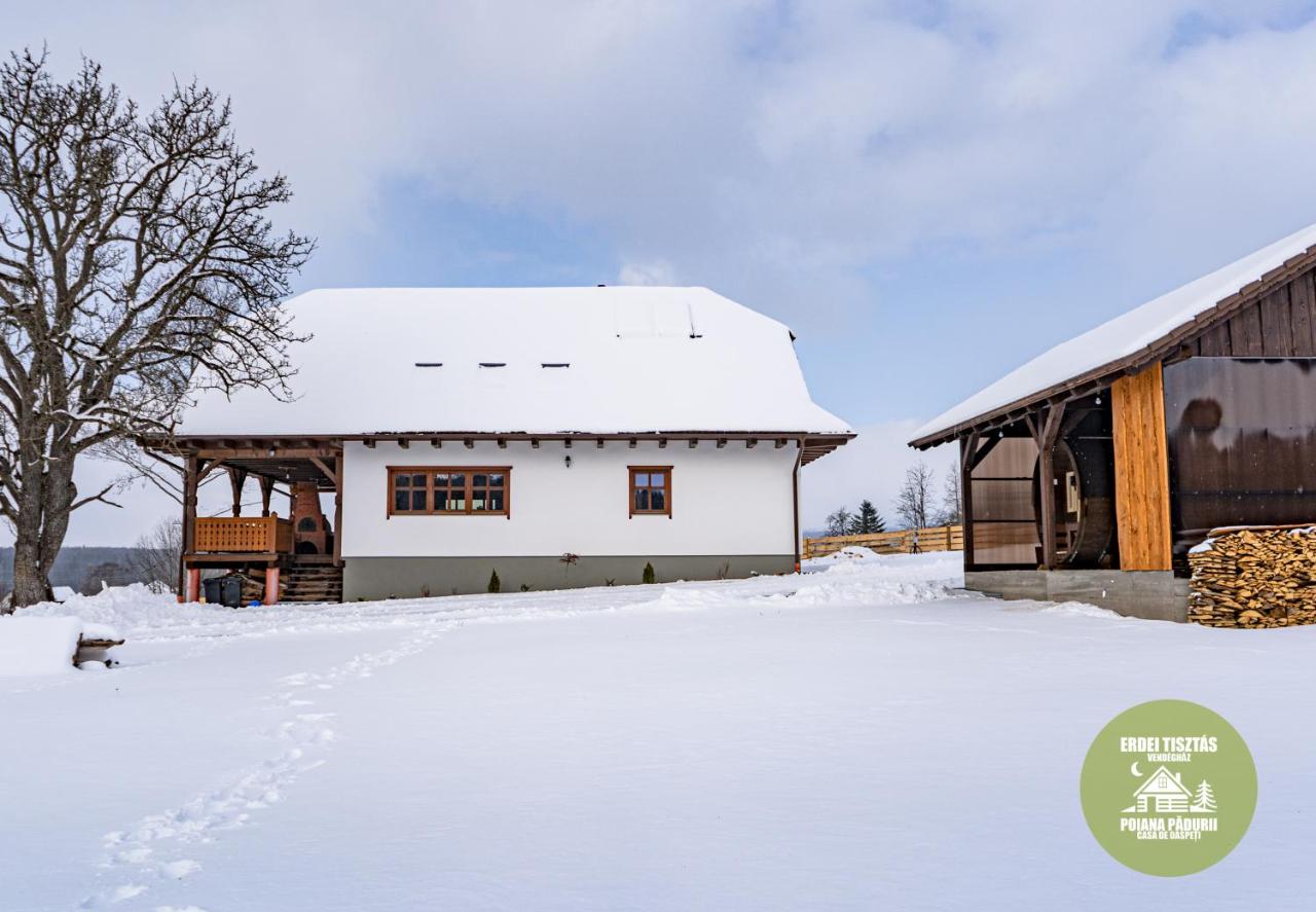 B&B Vărşag - Poiana Pădurii Casa de Oaspeți - Bed and Breakfast Vărşag