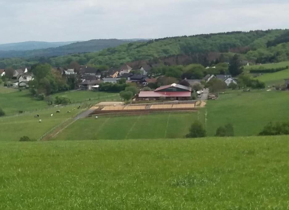 "Die Jockeysuite" auf unserem Reiterhof - B&B
