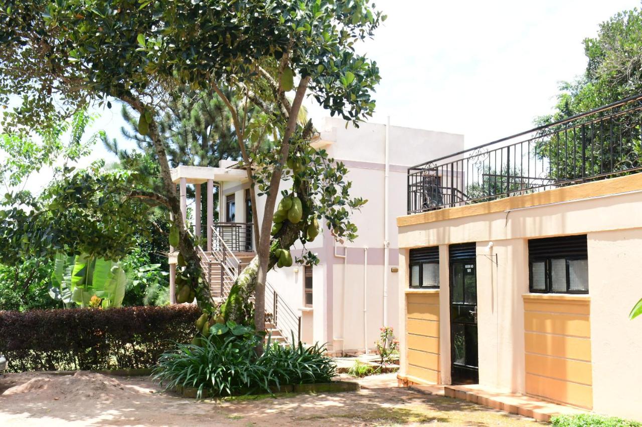 Golden Cherries Guest House - B&B
