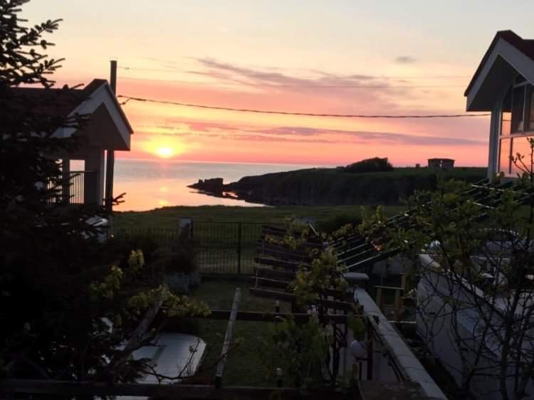 Морска Роза - B&B Sinemorets