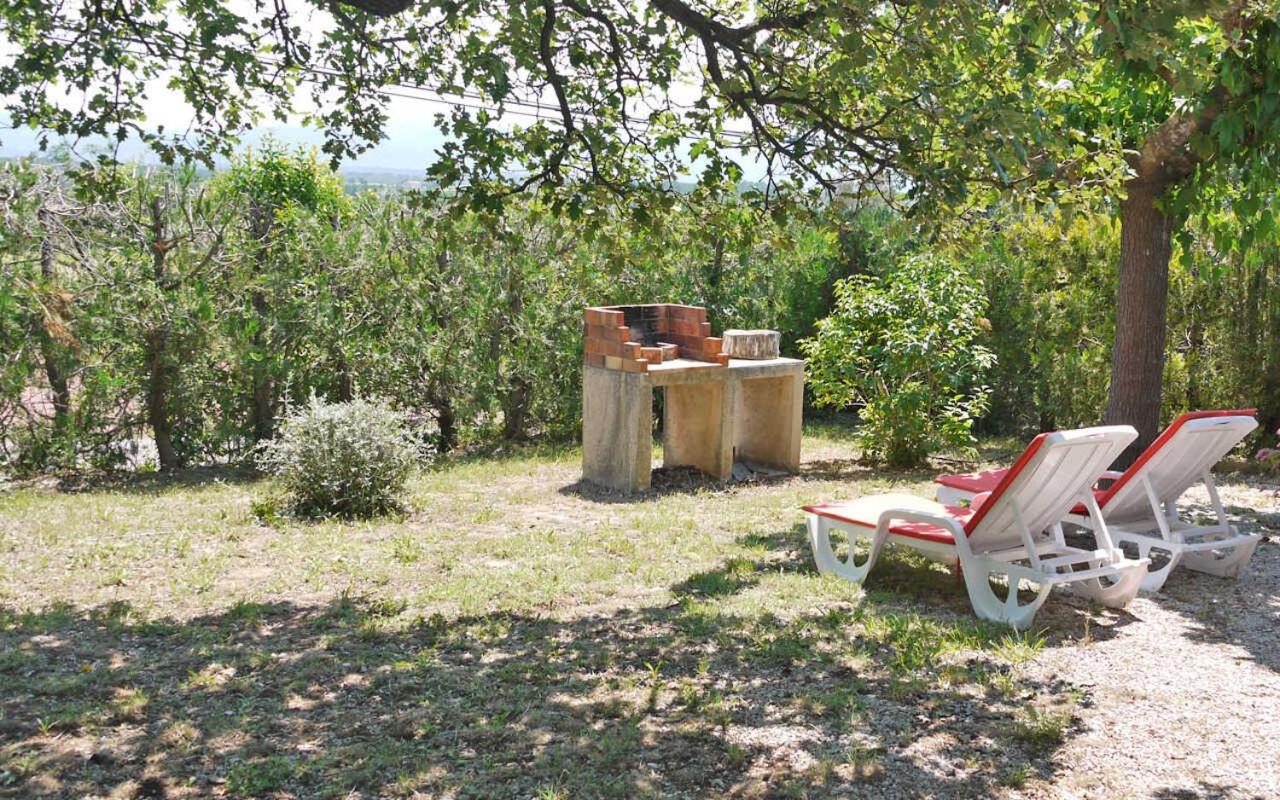 Gite au milieu des vignes g43 - B&B