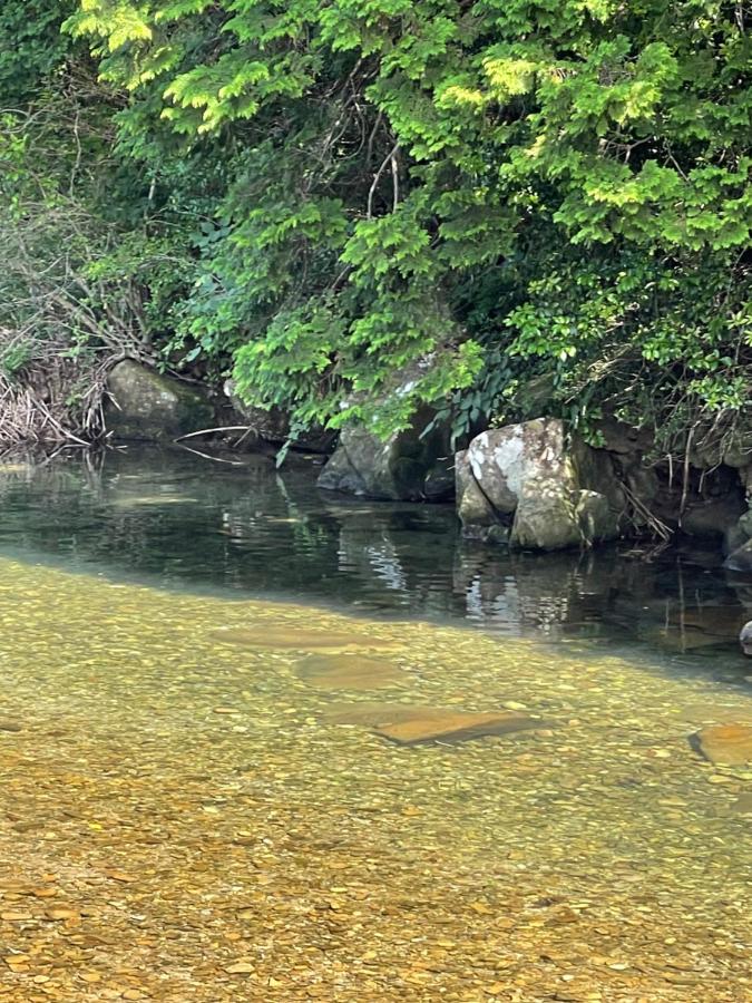 シーラニ白浜荘 - B&B Kannoura