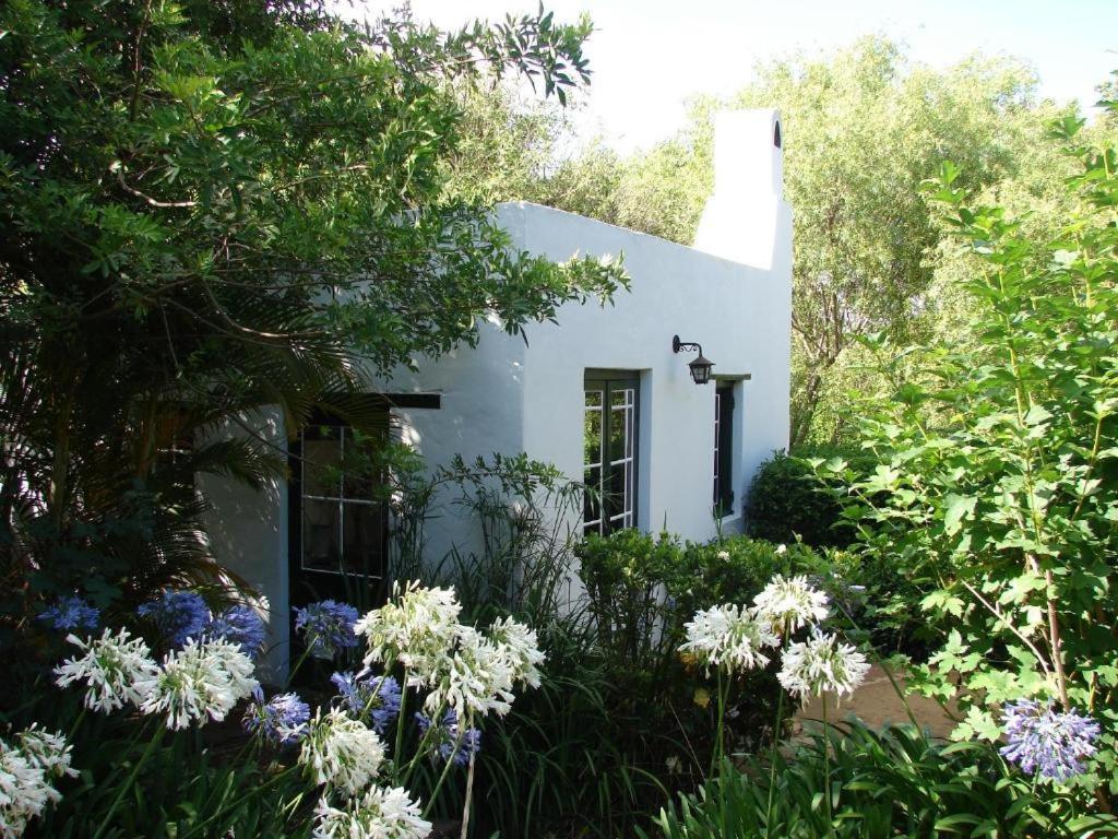 B&B Swellendam - The Oil Mill Guesthouse - Bed and Breakfast Swellendam