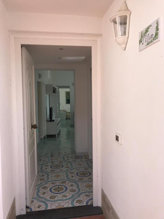 L' Ulivo Villa Nunzia - Chambres d’hôtes Ischia