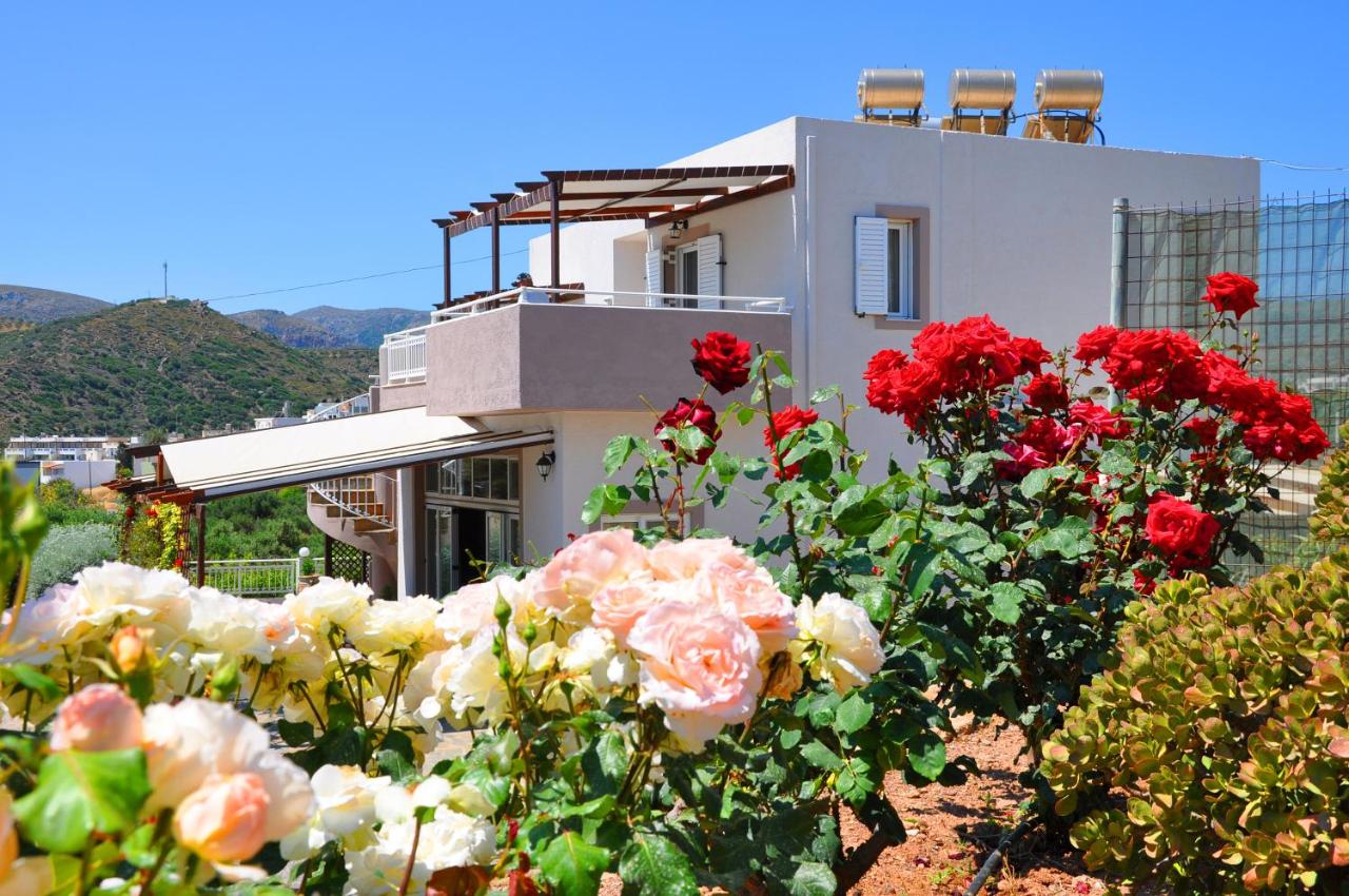 Lagos Studios & Apartments - B&B Palaiókastron