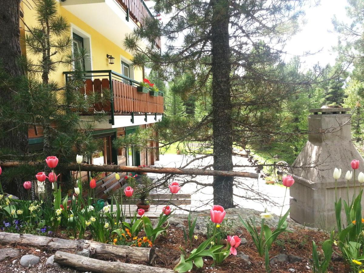 Piccolo Appartamento con 1 Camera da Letto e Balcone