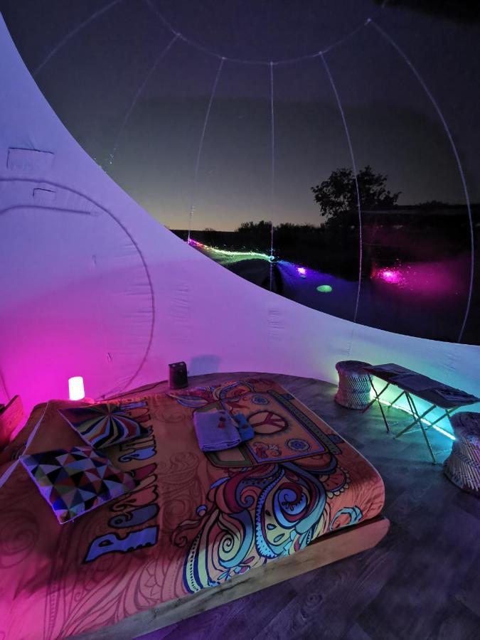 Tent - Dome