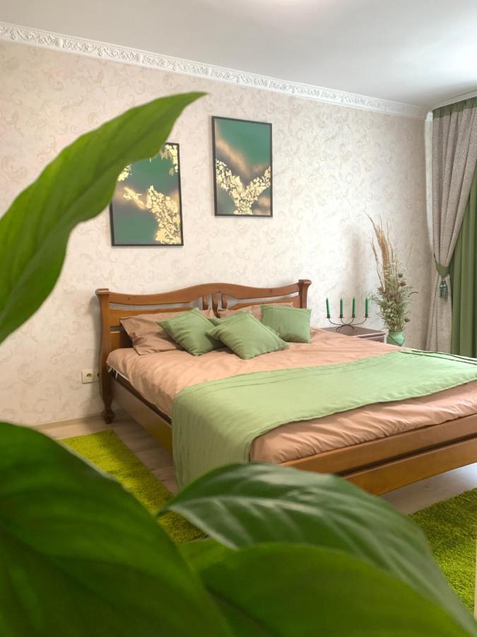 B&B Ternopil - Центр. На Замковій. Комфортна квартира поруч з озером та парком - Bed and Breakfast Ternopil