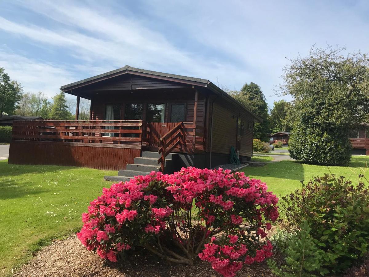 B&B Newton Stewart - Bluebell Lodge 5 with Hot Tub - Bed and Breakfast Newton Stewart