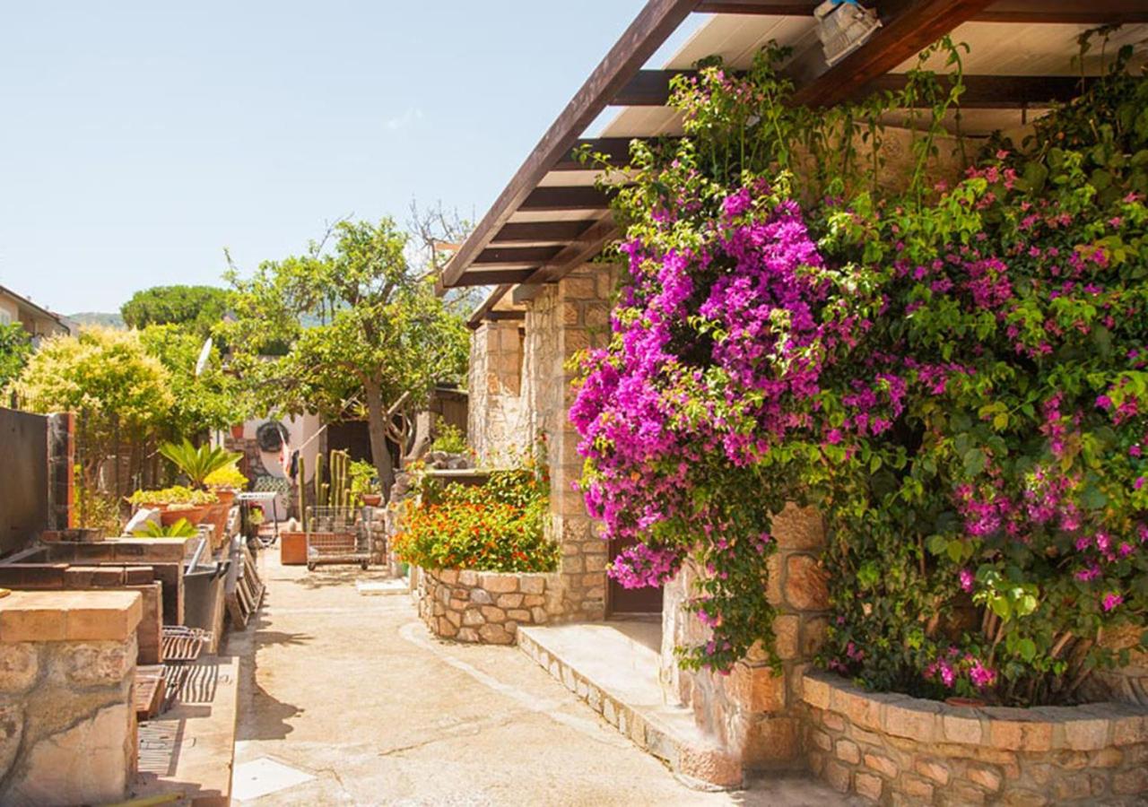 Eucharis Appartamenti - B&B Marina di Campo