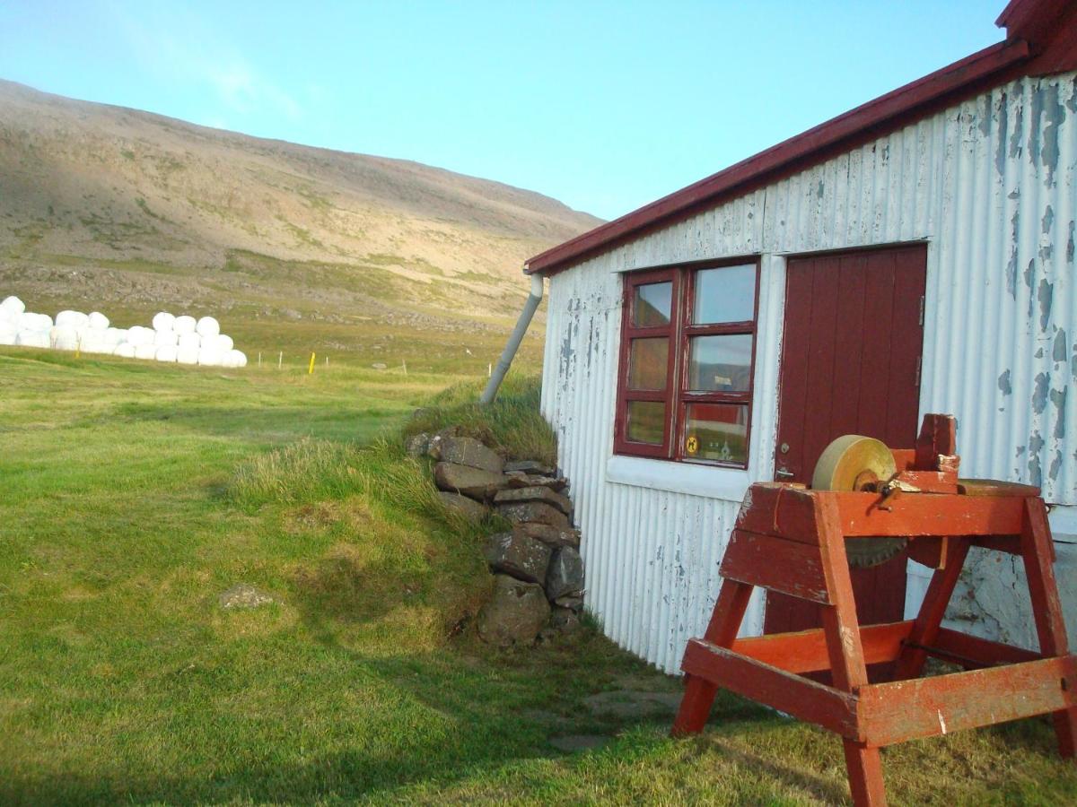 Cottage (3 Volwassenen)