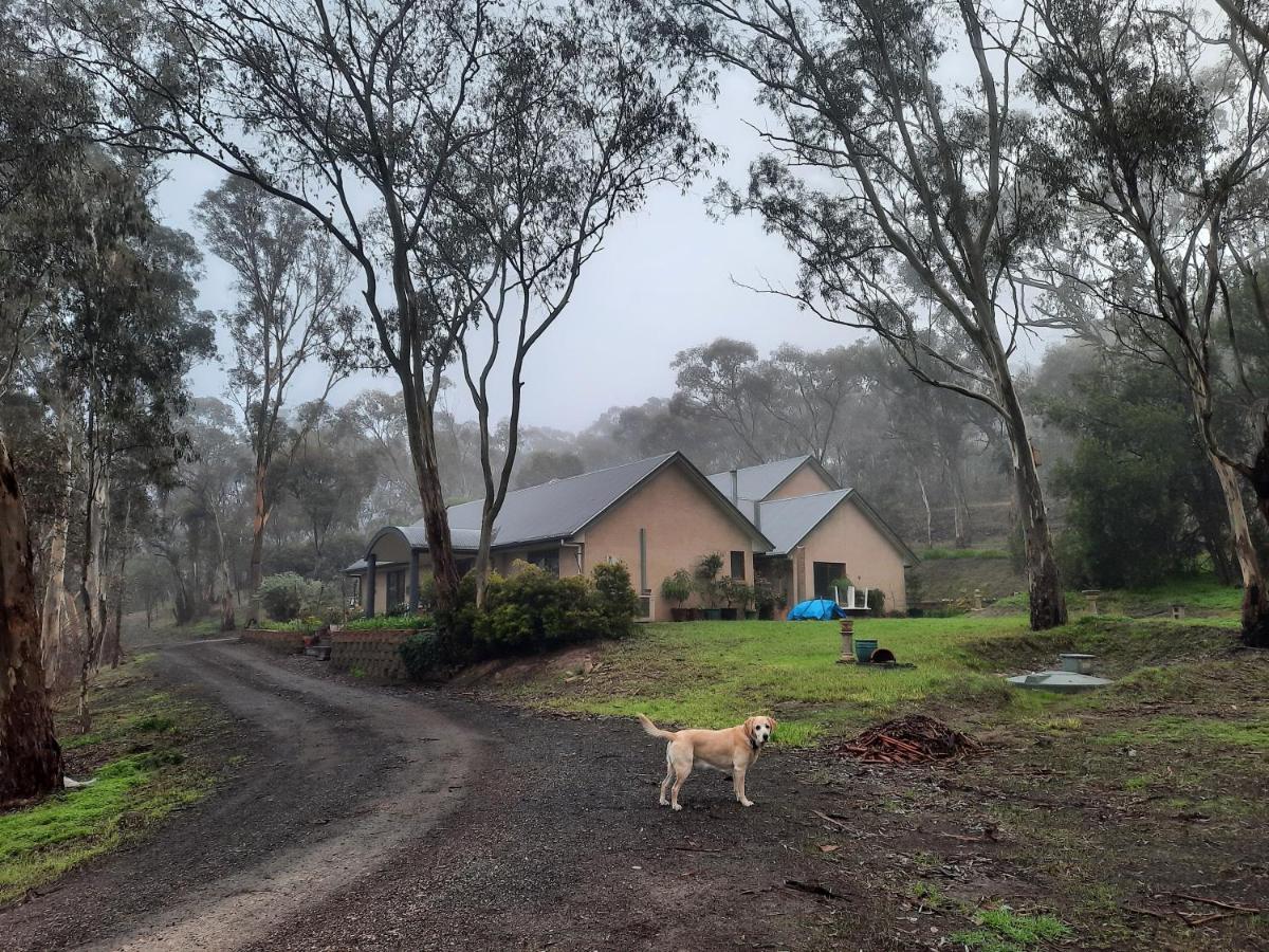 Frogmouth Hollow - B&B