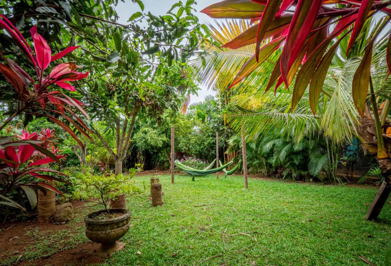 Your Dream Home Mirissa - Walk to Mirissa Beach - Ferienwohnung Mirissa city