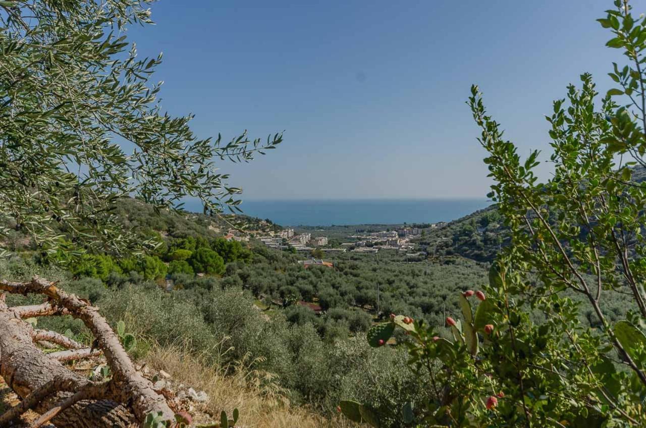 Studio - Vue sur Mer