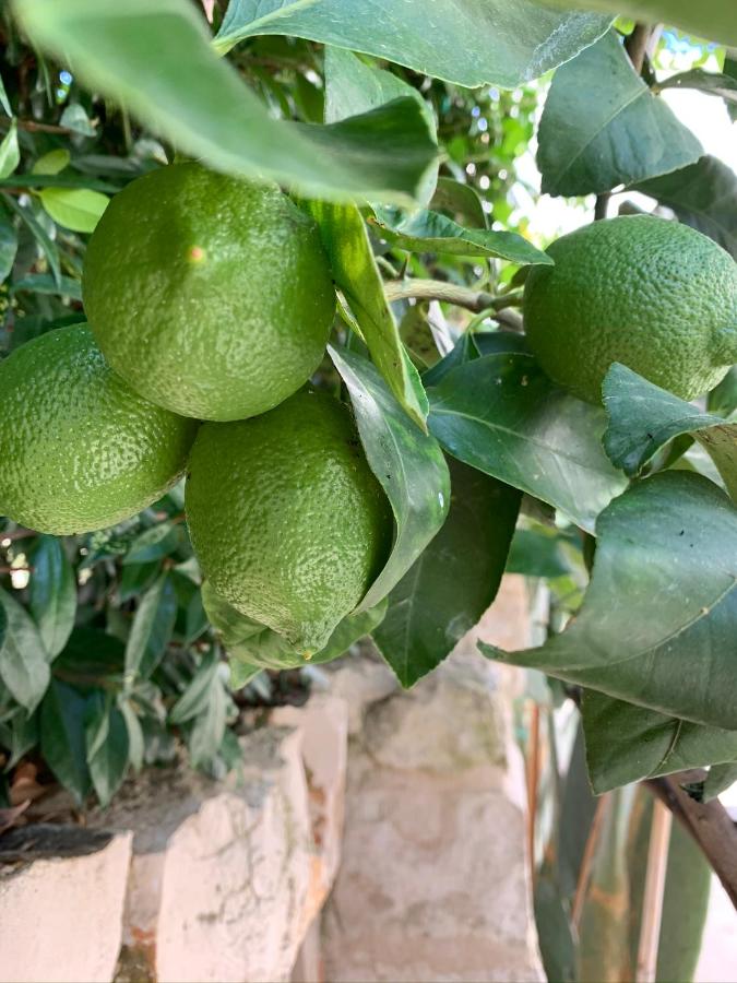 Trulli MADIA Luxury Alberobello - Bed and Breakfast Alberobello