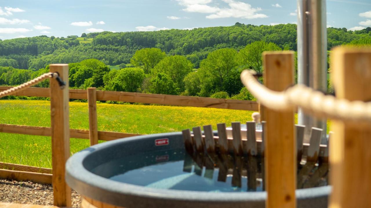 Huggeley Hall - Astounding, Chic, Valley Experience with Hot Tub - Bed and Breakfast Stanford on Teme