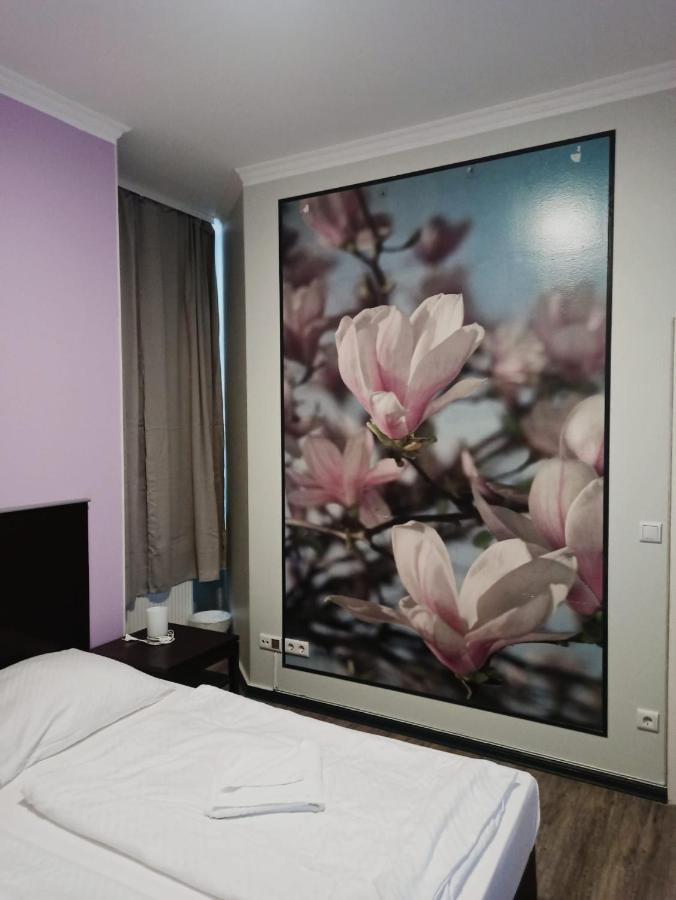 Appartamento con 2 Camere da Letto