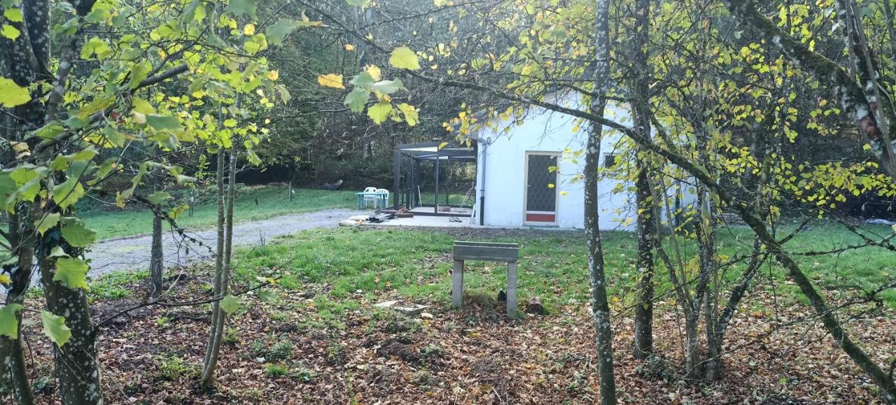 Deux étangs poissonneux au milieu des bois avec gîte moderne, la halte des deux lacs - Bed and Breakfast
