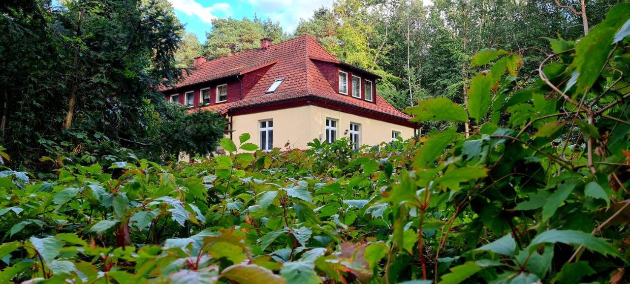 Pasjonat Tu - B&B