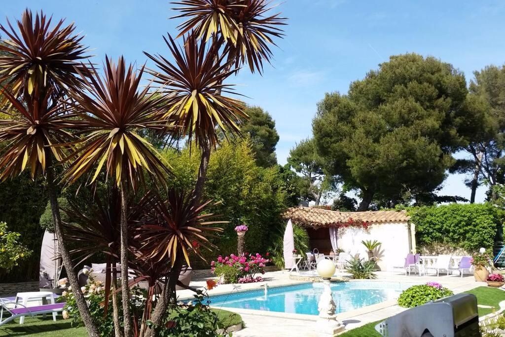 B&B Cassis - Studio dans villa de charme, piscine, proche plage - Bed and Breakfast Cassis