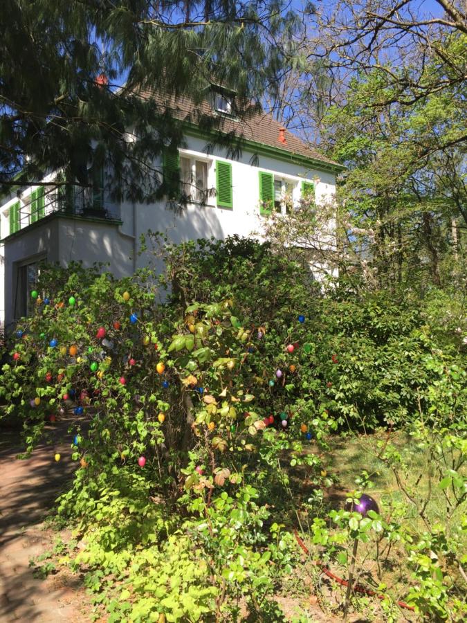 Villa Böhme - Ferienwohnung