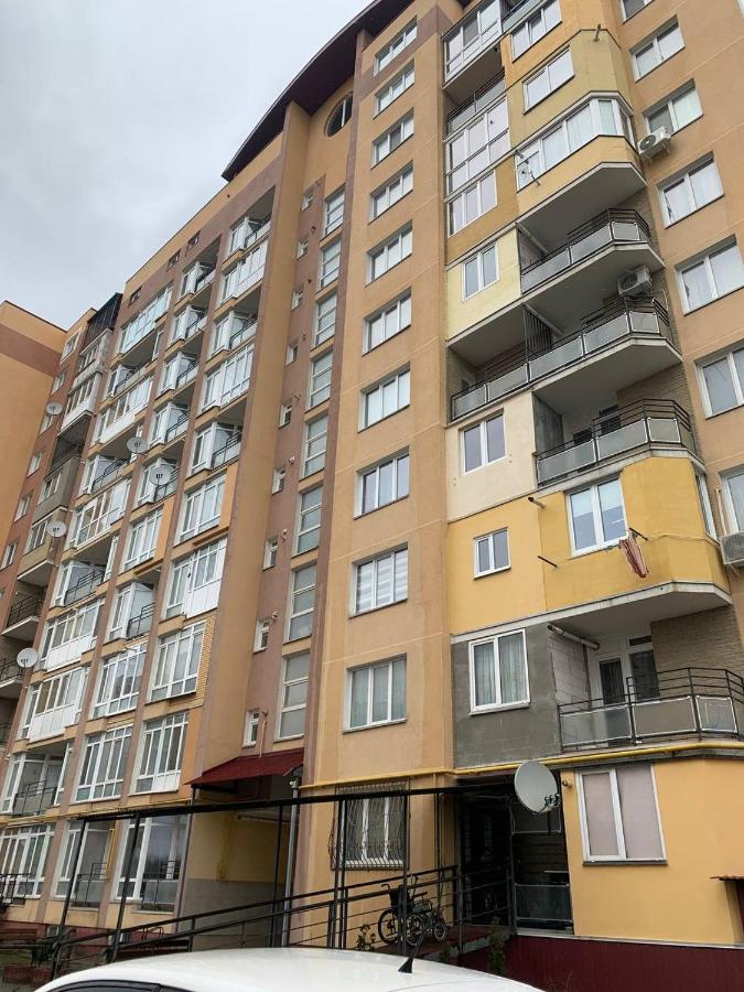 Центр. Студія. Білогірська - B&B