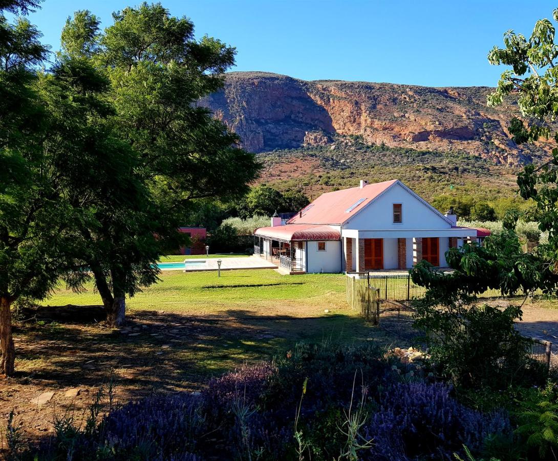 B&B Studtis - Baviaanskloof Landhuis - Bed and Breakfast Studtis