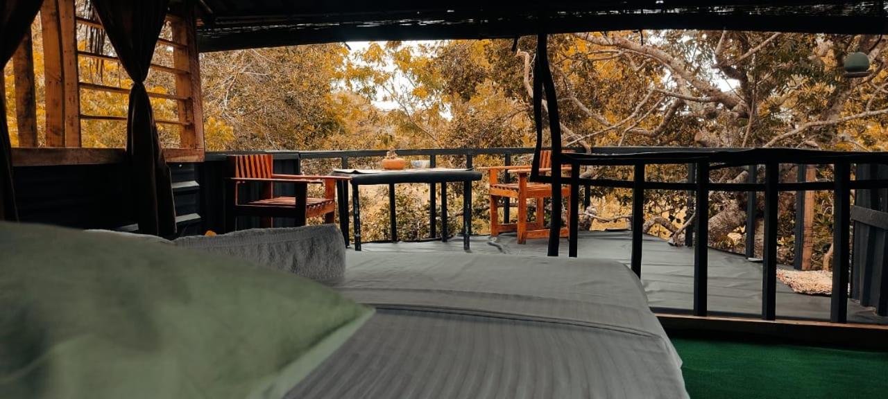 Jungle Cabin - Bundala - Chambres d’hôtes