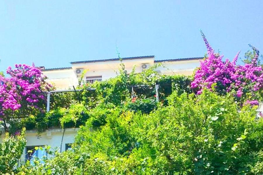 Madra Rooms and Apartments - B&B Budua