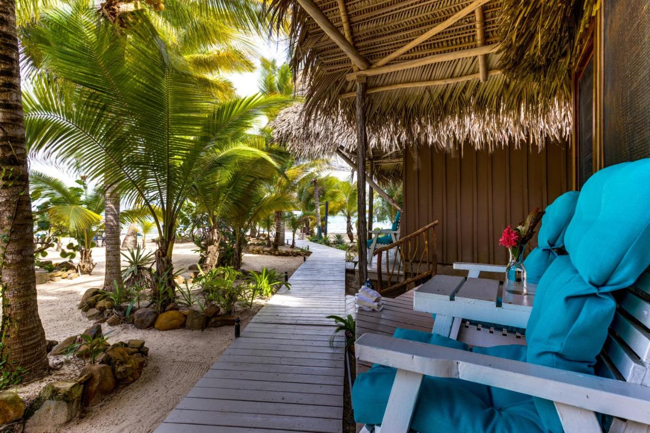 Camera Queen Standard