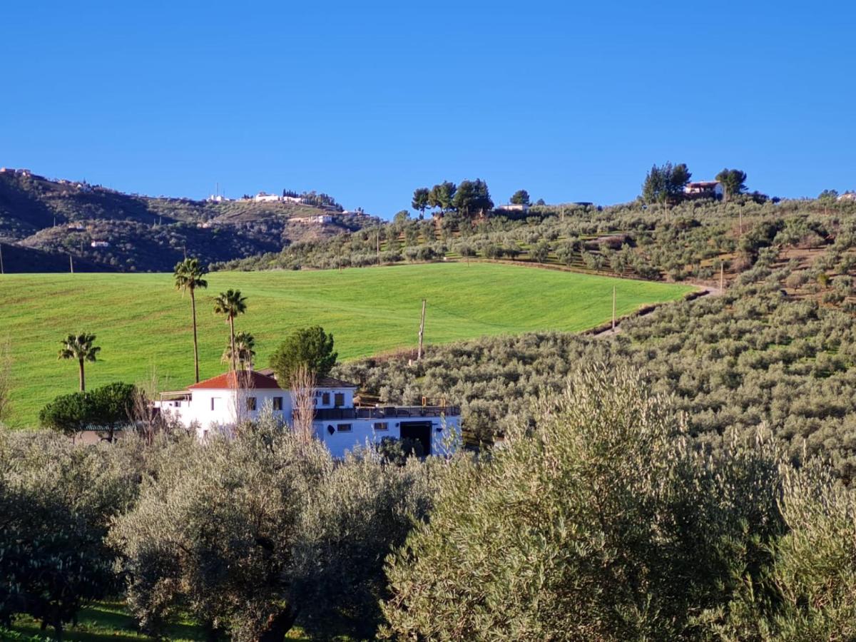 Casa Metaverdi - B&B