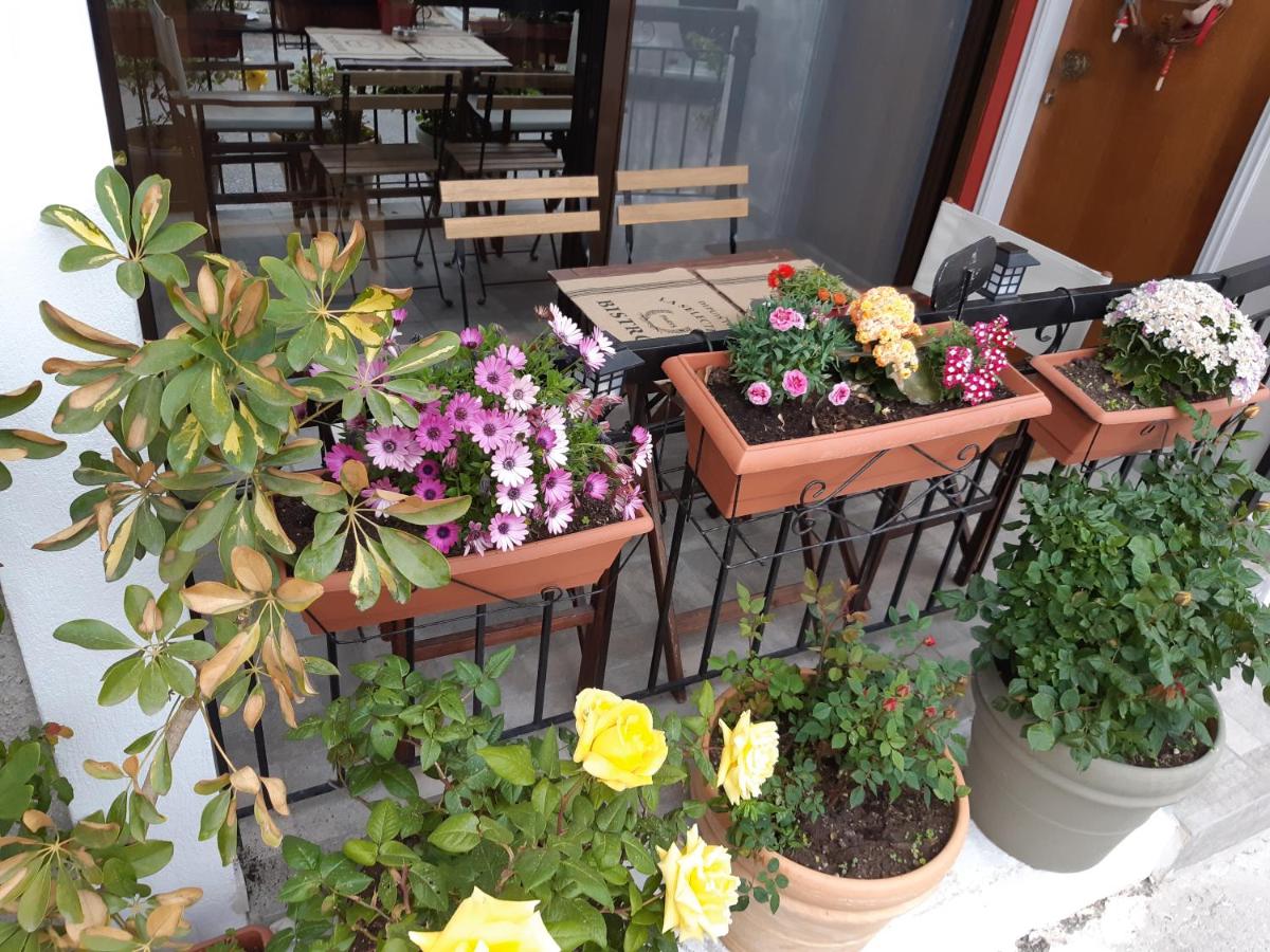 Delphic Moments I Cozy apt 1BR 2BA 2 double beds - B&B