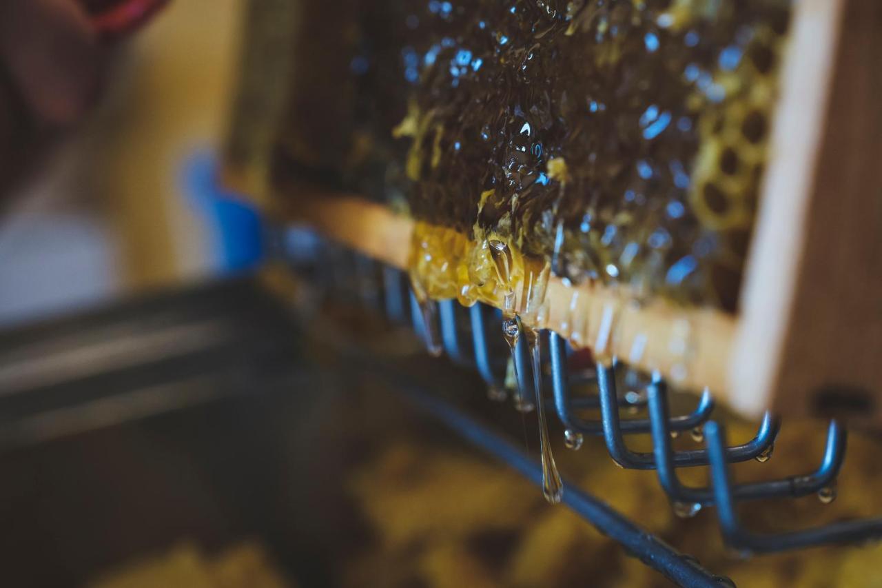 Agriturismo Bellofatto - B&B Torella dei Lombardi