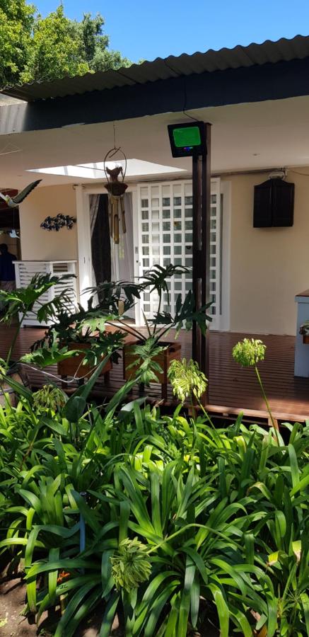 Tortuga - Peaceful Holiday Home with Loadshedding Backup - B&B Sedgefield