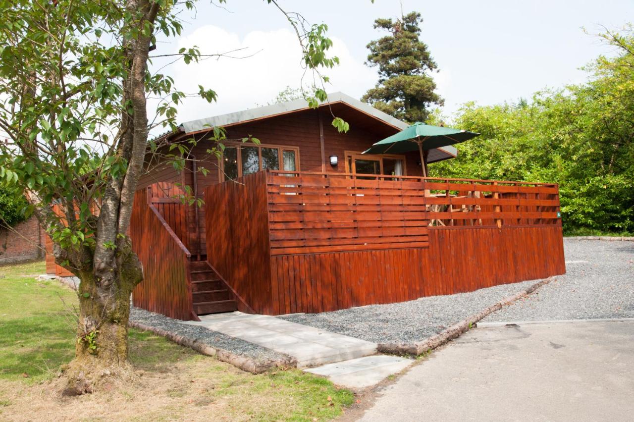 Laurel Lodge 6 with Hot Tub - Bed and Breakfast
